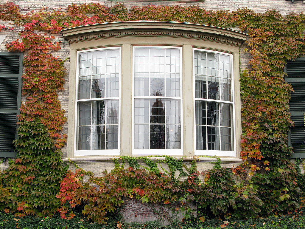 bow windows sterling heights mi