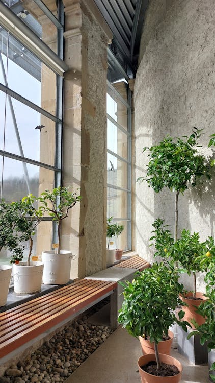 sterling heights mi energy-efficient windows