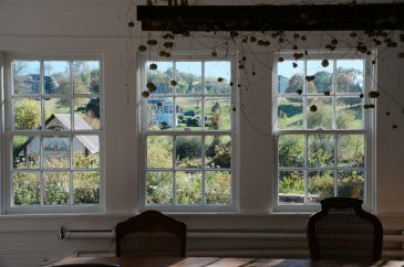 Affordable double-hung window replacement services Warren MI