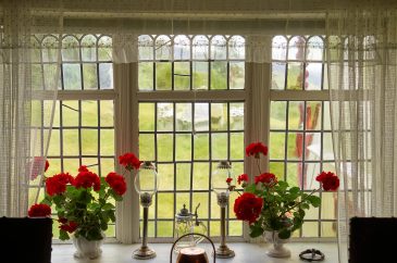 Low-maintenance vinyl window upgrades Warren MI