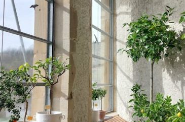sterling heights mi energy-efficient windows sterling heights mi energy-efficient windows